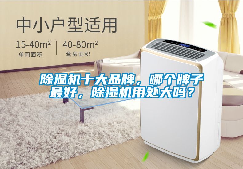 除濕機(jī)十大品牌，哪個(gè)牌子最好，除濕機(jī)用處大嗎？