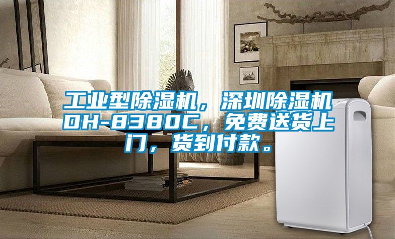工業型除濕機,深圳除濕機DH-8380C,免費送貨上門,貨到付款。