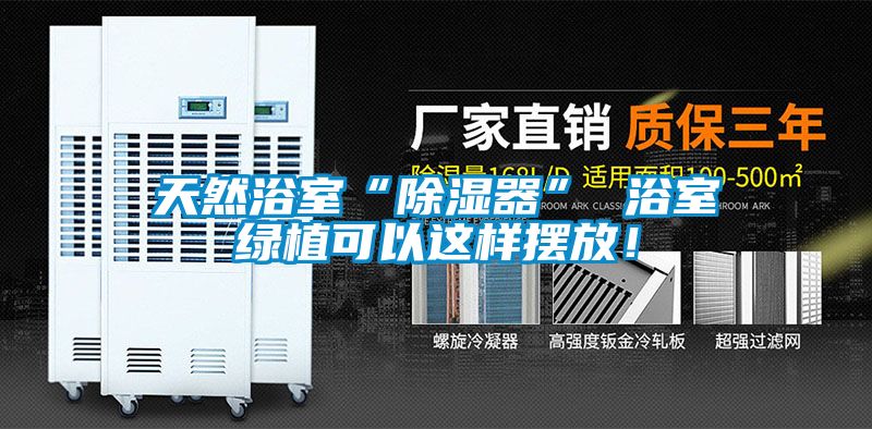 天然浴室“除濕器” 浴室綠植可以這樣擺放！