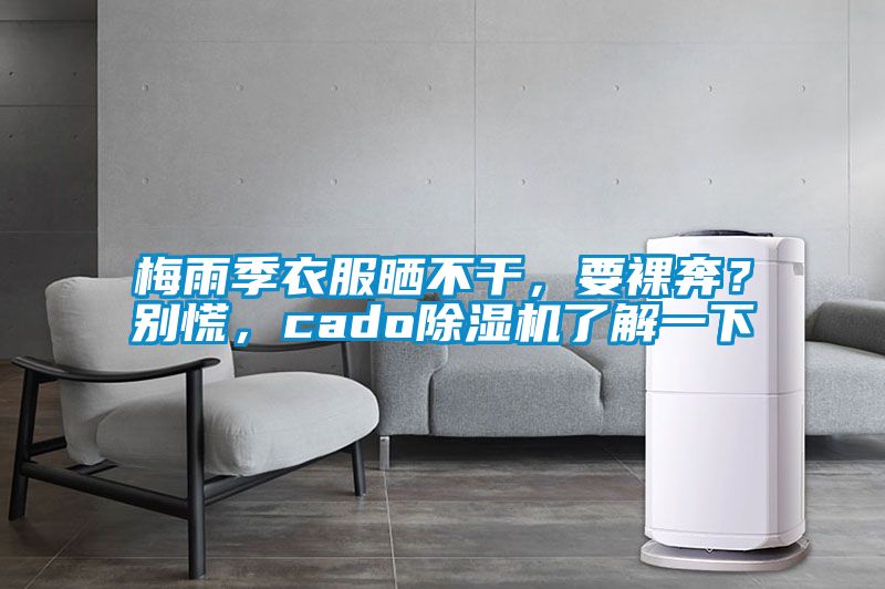 梅雨季衣服曬不干，要裸奔？別慌，cado除濕機了解一下