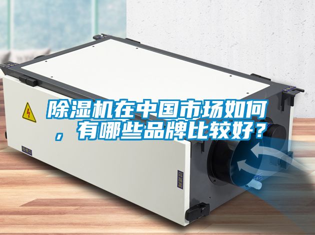 除濕機(jī)在中國市場(chǎng)如何,有哪些品牌比較好?