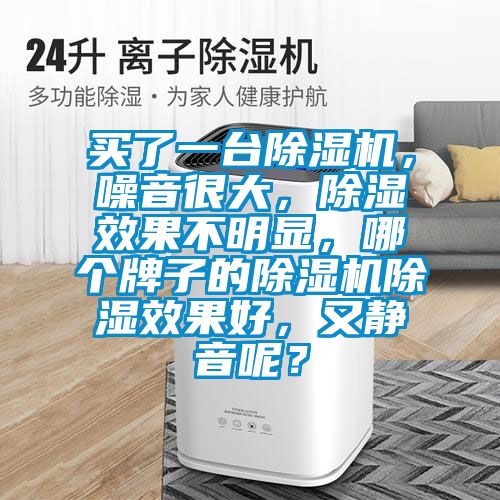 買了一臺除濕機，噪音很大，除濕效果不明顯，哪個牌子的除濕機除濕效果好，又靜音呢？