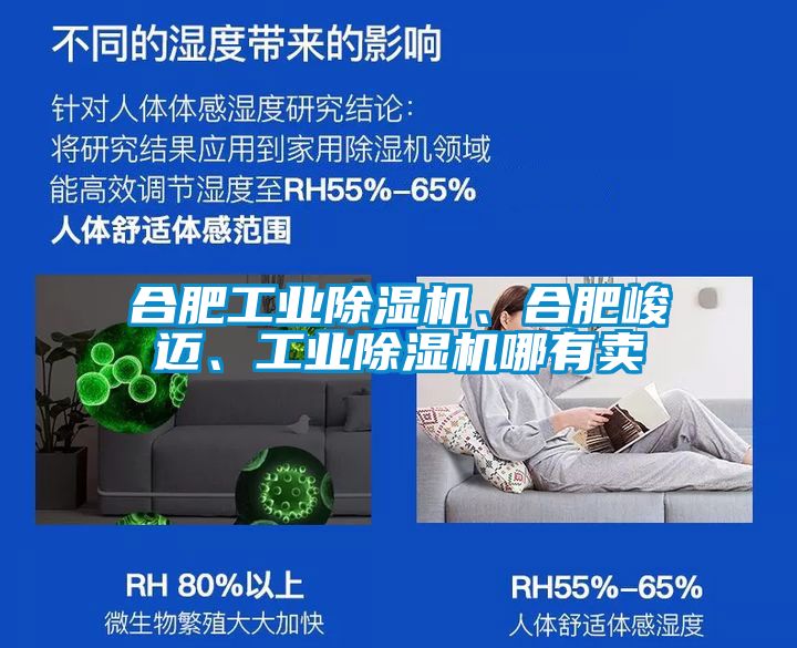 合肥工業(yè)除濕機、合肥峻邁、工業(yè)除濕機哪有賣