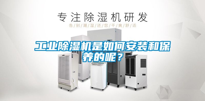 工業除濕機是如何安裝和保養的呢？