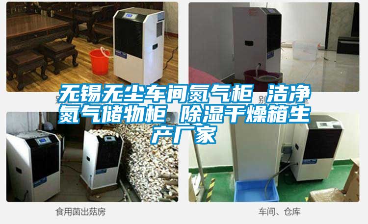 無錫無塵車間氮?dú)夤?潔凈氮?dú)鈨ξ锕?除濕干燥箱生產(chǎn)廠家
