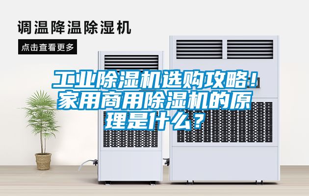 工業除濕機選購攻略!家用商用除濕機的原理是什么?