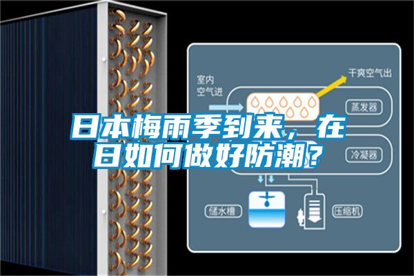 日本梅雨季到來，在日如何做好防潮？