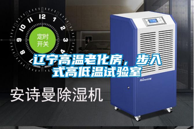遼寧高溫老化房，步入式高低溫試驗室