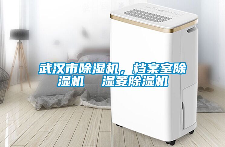 武漢市除濕機，檔案室除濕機  濕菱除濕機