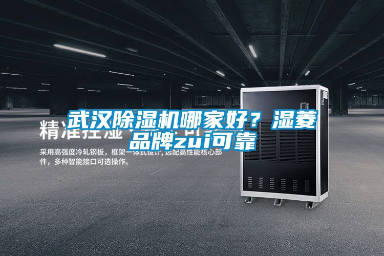 武漢除濕機哪家好？濕菱品牌zui可靠