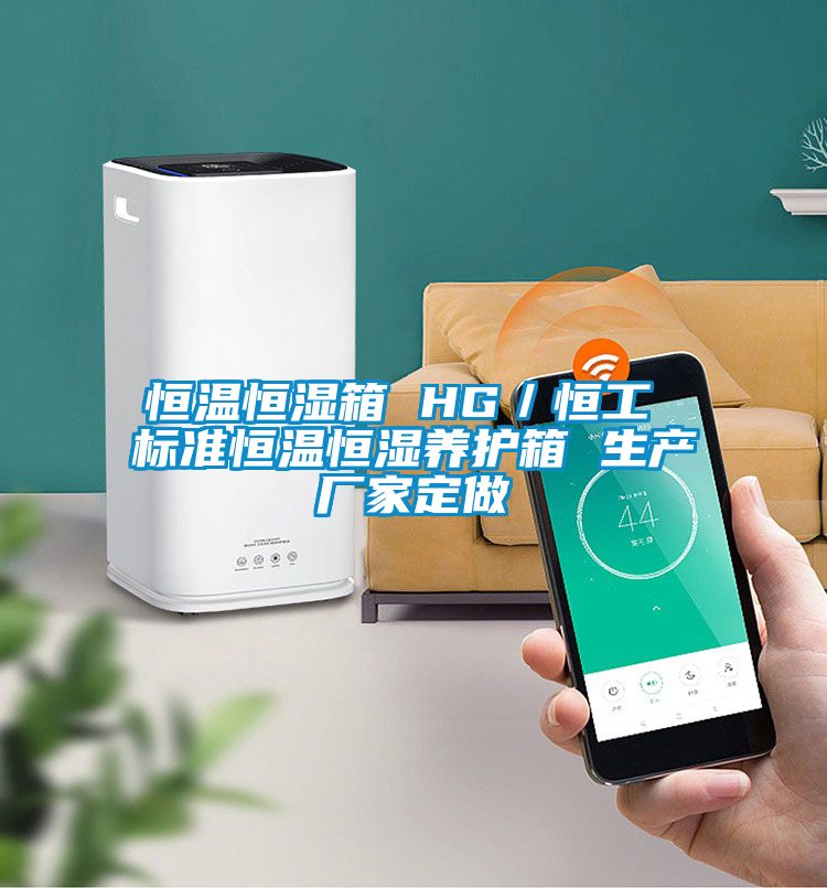 恒溫恒濕箱 HG/恒工 標(biāo)準(zhǔn)恒溫恒濕養(yǎng)護箱 生產(chǎn)廠家定做