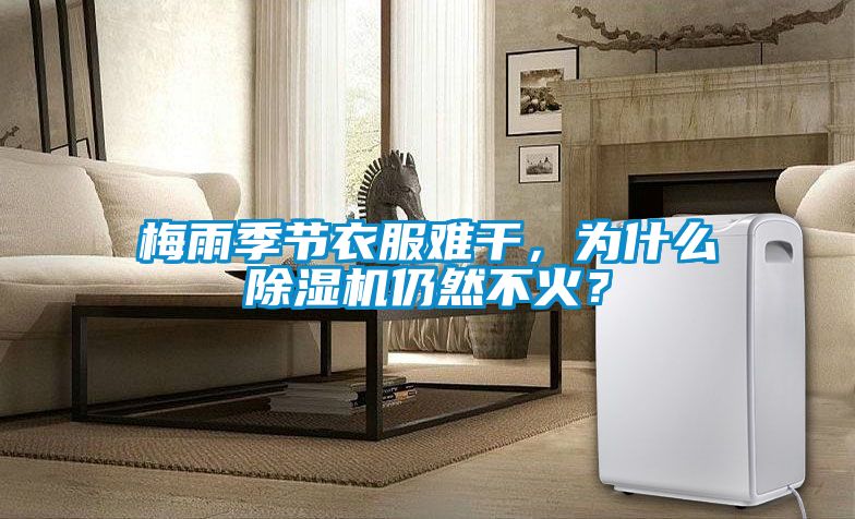 梅雨季節衣服難干，為什么除濕機仍然不火？