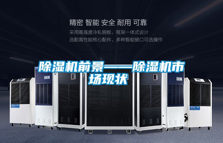 除濕機(jī)前景——除濕機(jī)市場(chǎng)現(xiàn)狀