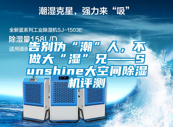 告別偽“潮”人,不做大“濕”兄——Sunshine大空間除濕機評測