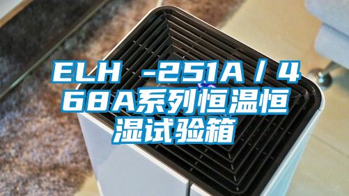 ELH -251A/468A系列恒溫恒濕試驗(yàn)箱