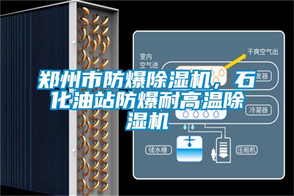 鄭州市防爆除濕機，石化油站防爆耐高溫除濕機