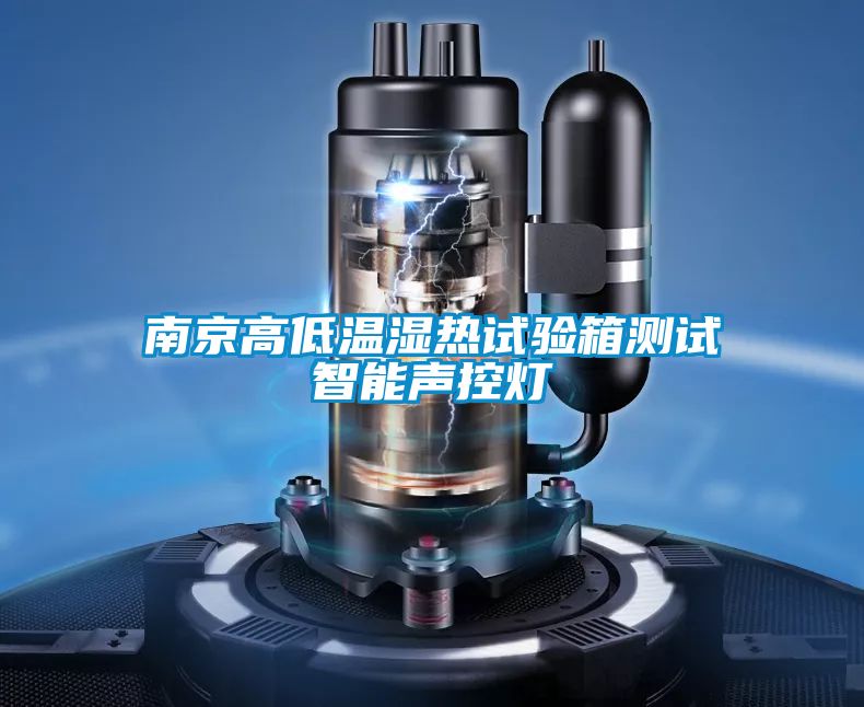 南京高低溫濕熱試驗(yàn)箱測試智能聲控?zé)?/></p>
						    <p style=